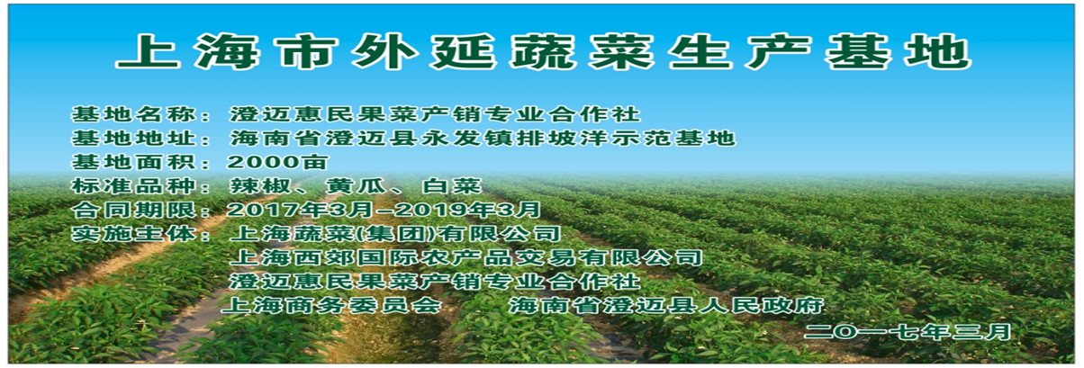 上海外延蔬菜种植基地