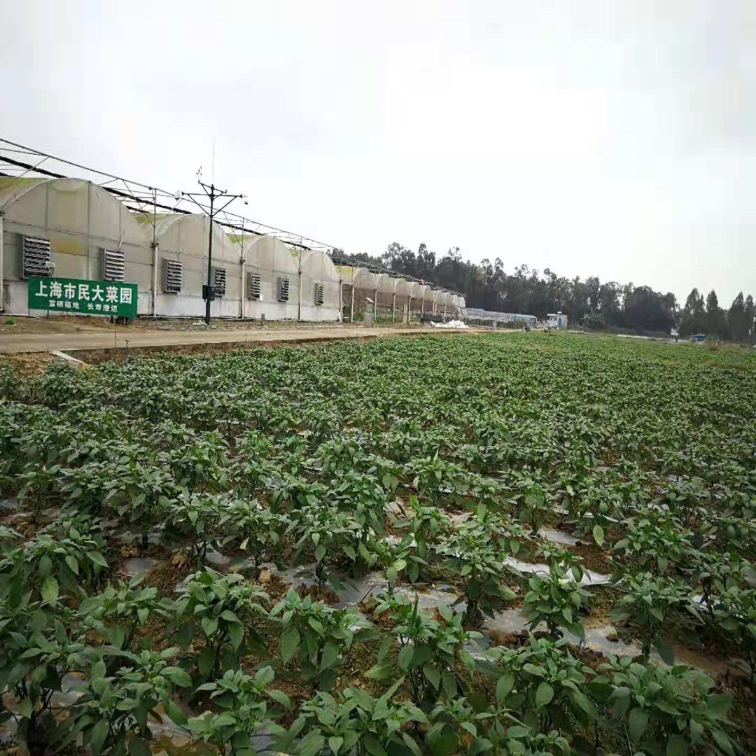 外延基地实拍
