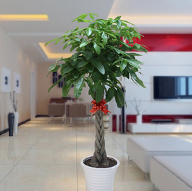Cloud Zoom small image