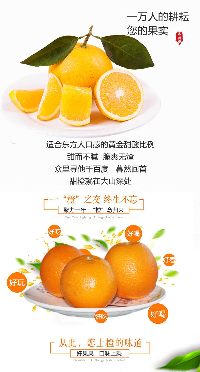 详情页_01.jpg