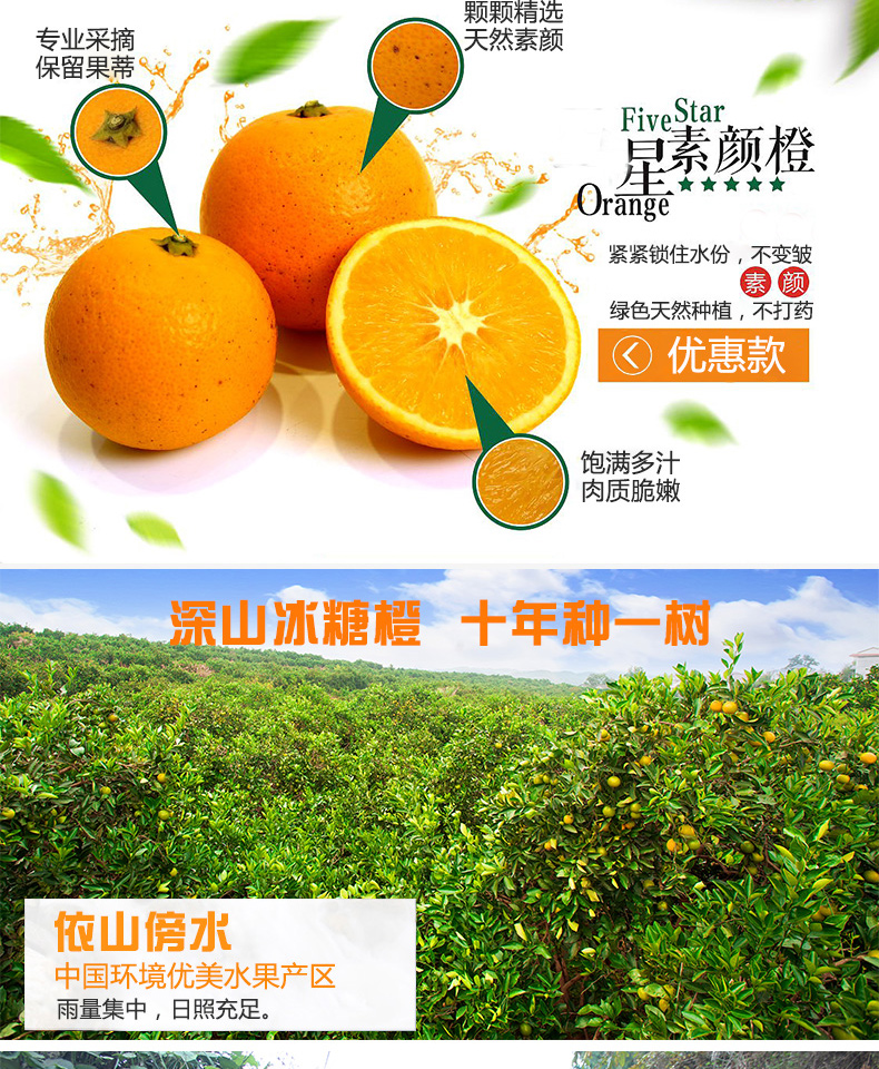 详情页_02.jpg