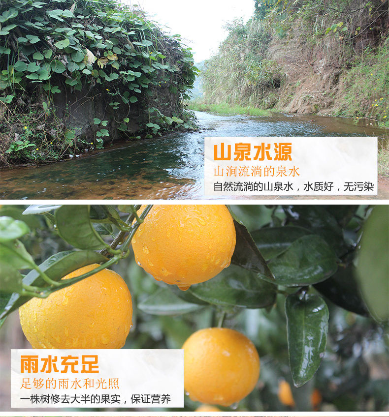 详情页_03.jpg