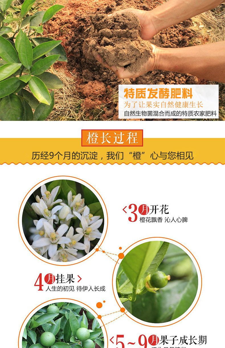 详情页_04.jpg