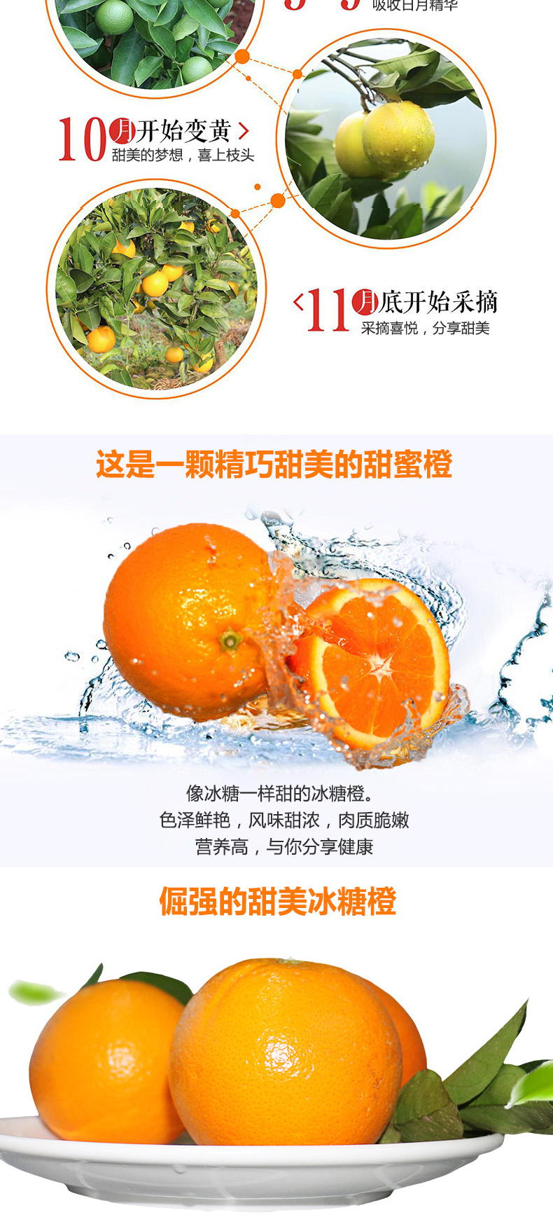 详情页_05.jpg