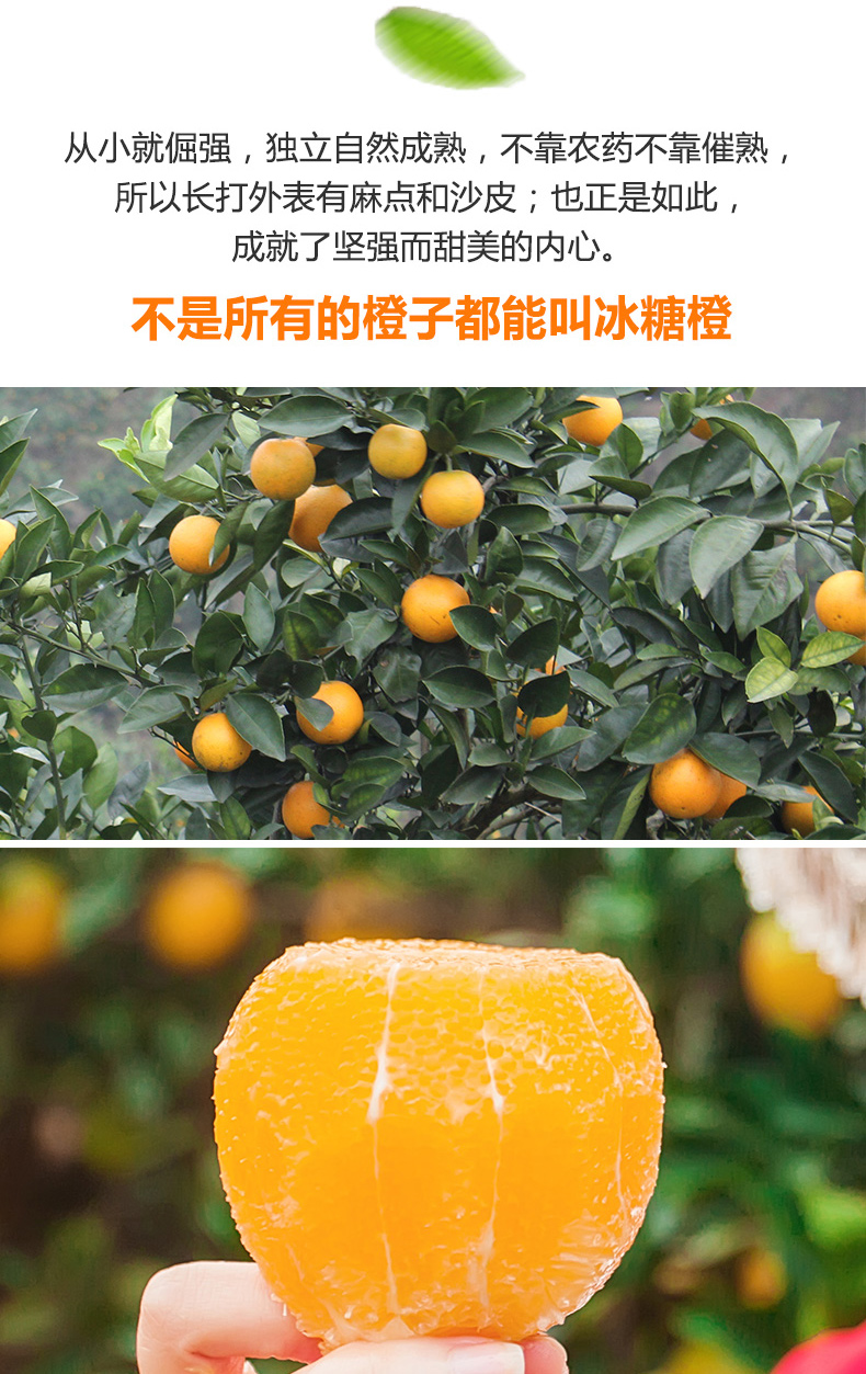 详情页_06.jpg