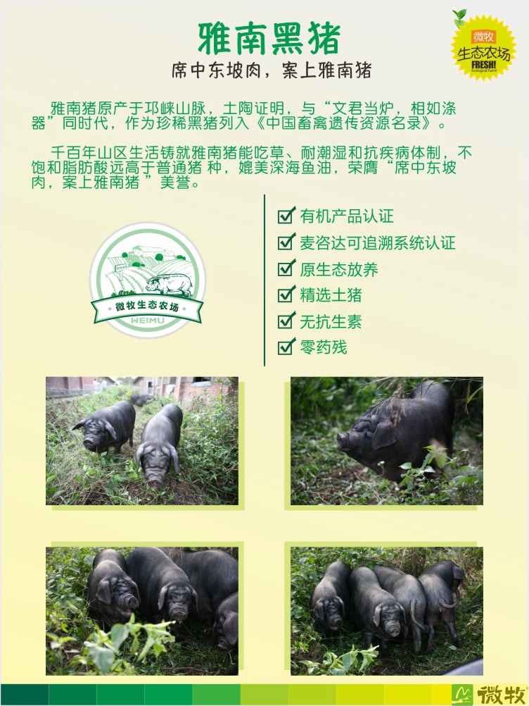 猪肉套餐详情图-01.jpg
