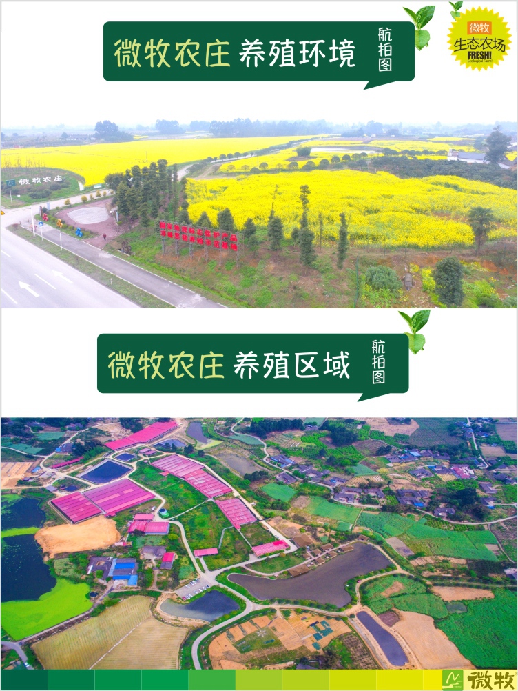 猪肉套餐详情图-04.jpg