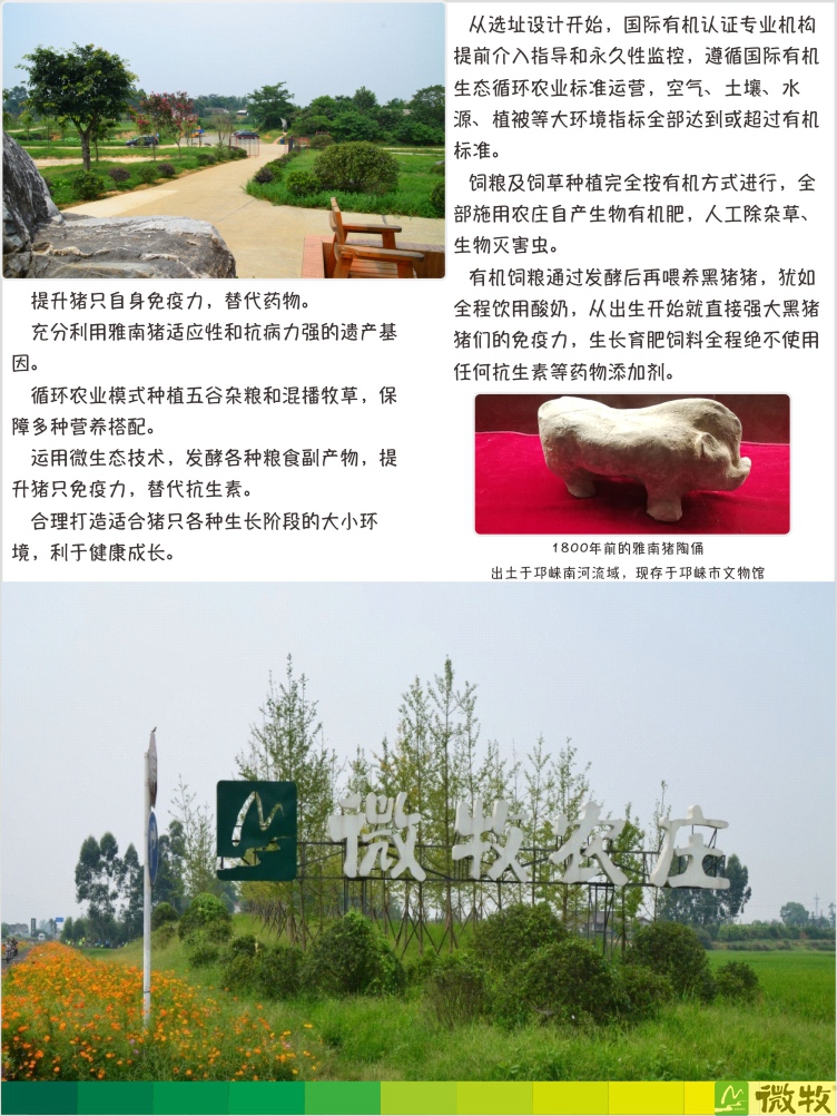 猪肉套餐详情图-07.jpg