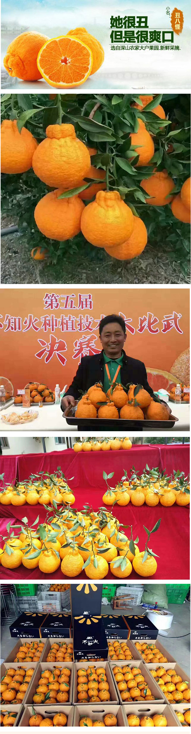 详情页_02.jpg