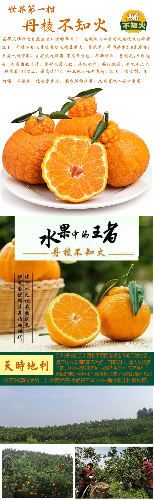 详情页_01.jpg