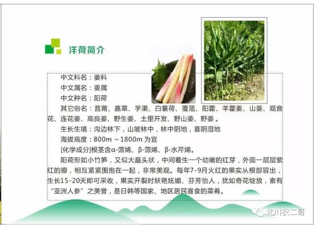 微信图片_20180401113155.jpg