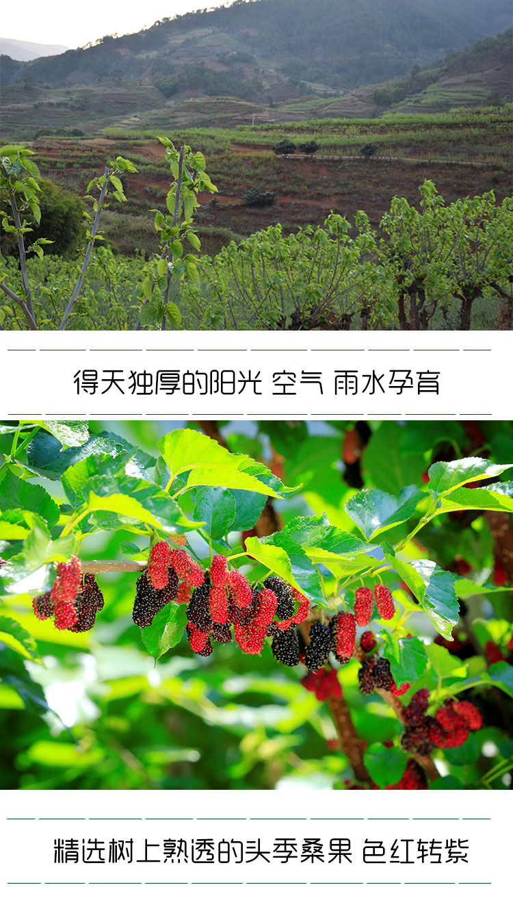详情页_02.jpg