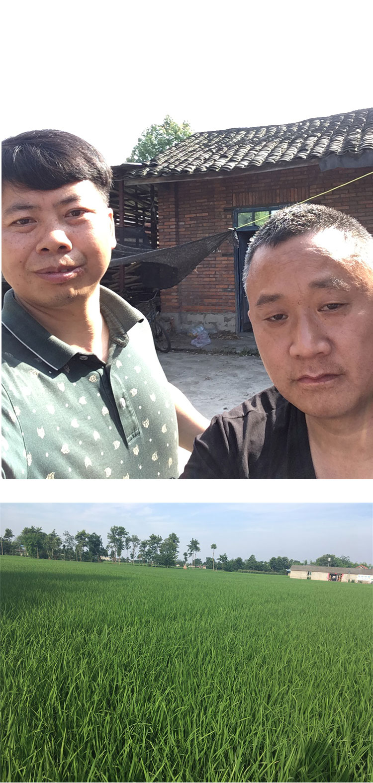 详情页_04.jpg