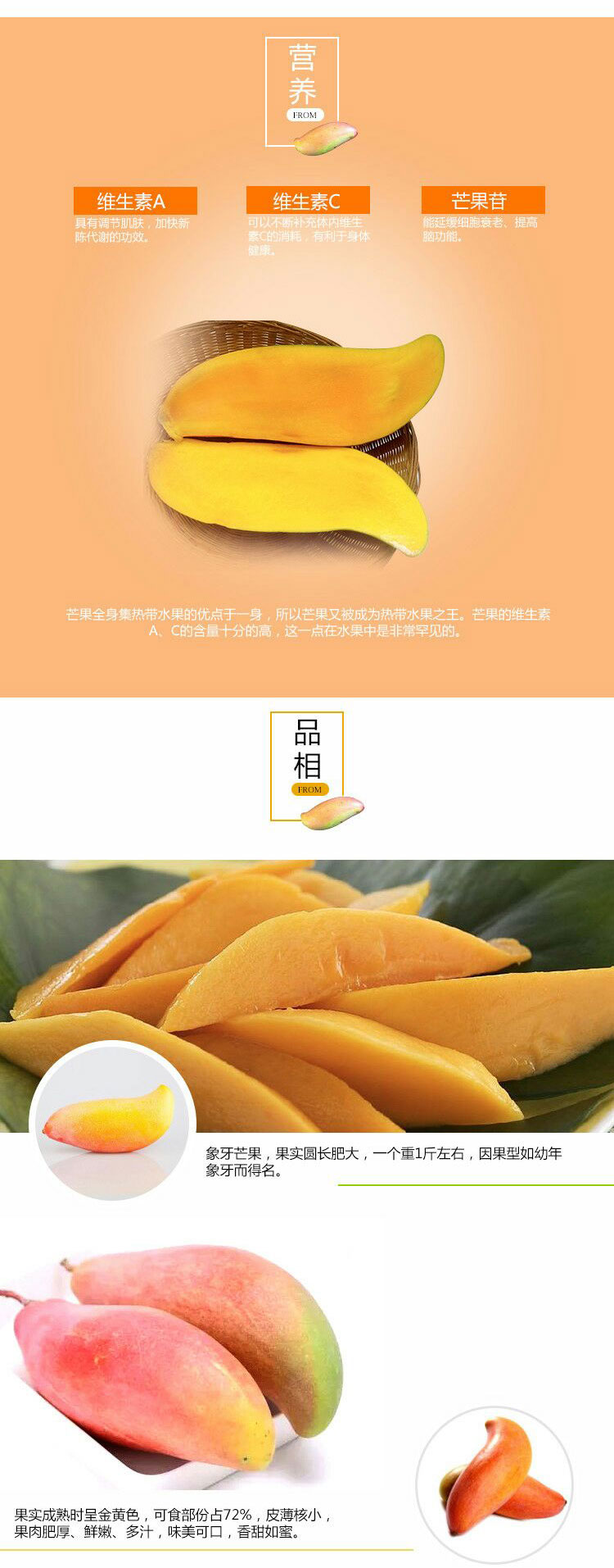 详情页_02.jpg