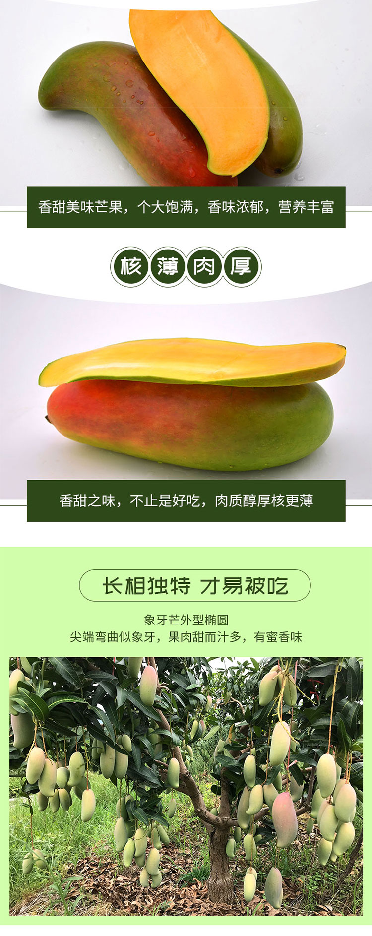 详情页_02.jpg