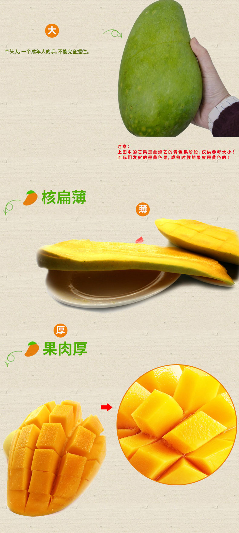 大金煌芒果_02_01.jpg