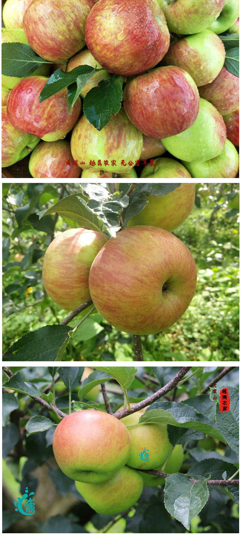 详情页_03.jpg