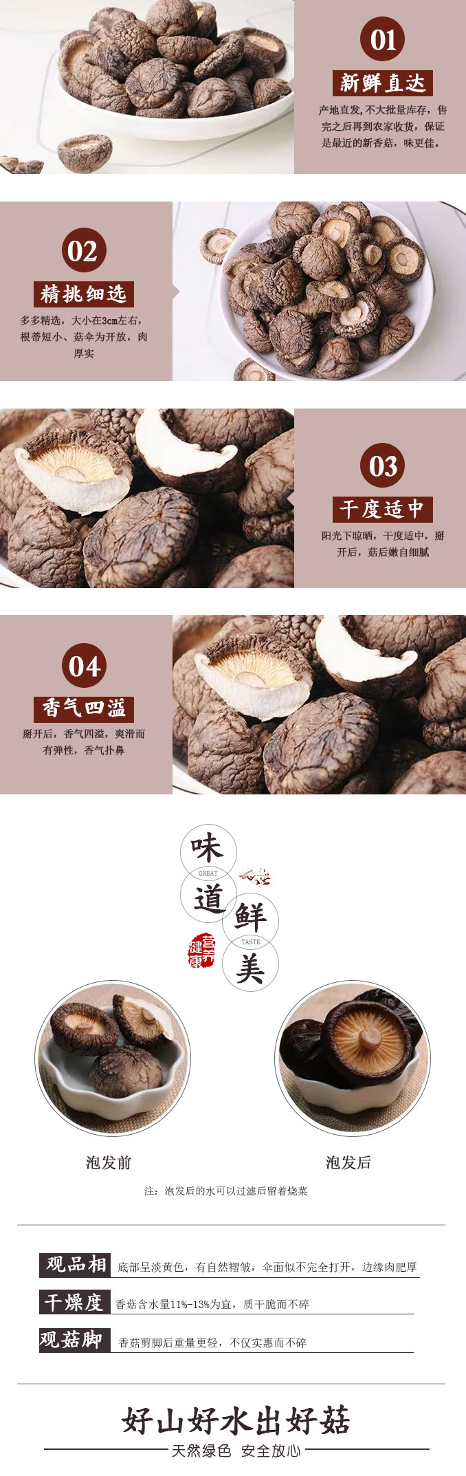 香菇_05.jpg