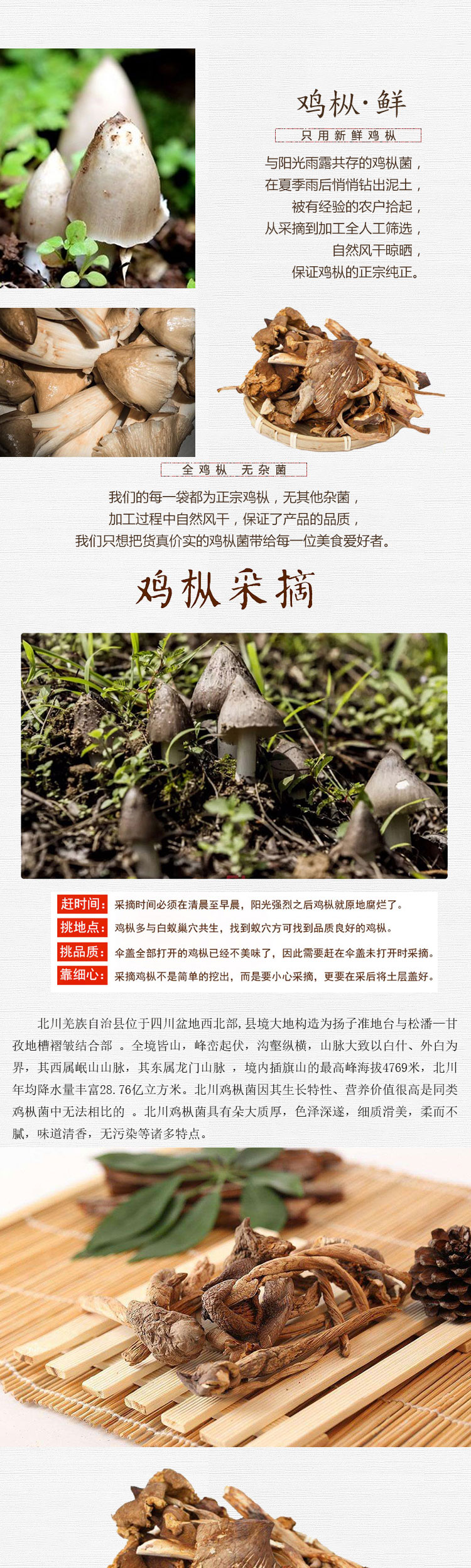 鸡枞菌_02.jpg