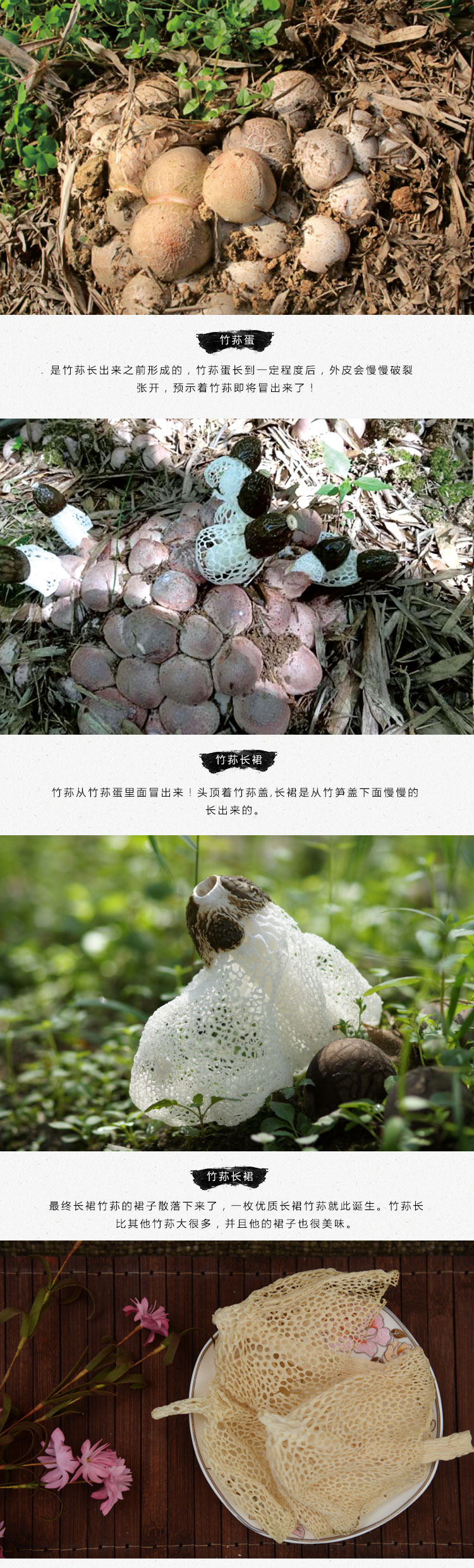 竹荪详情页_03.jpg