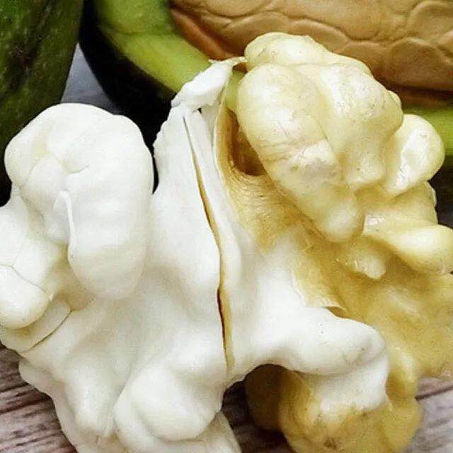 微信图片_20180824093913.jpg