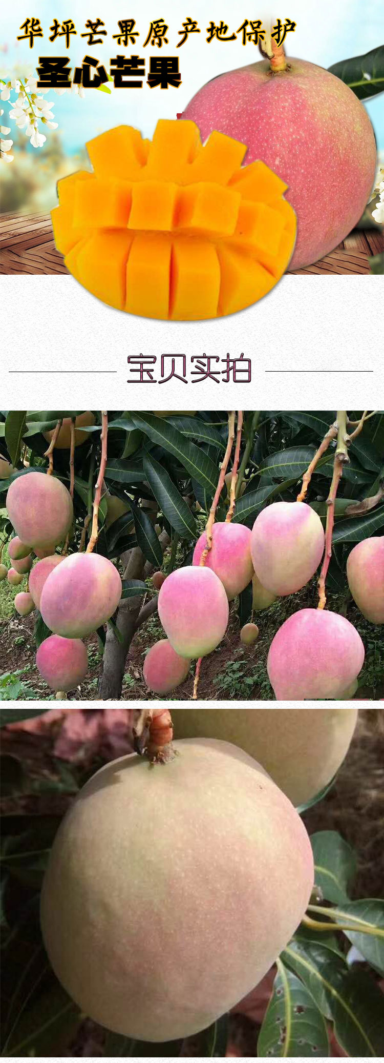 详情页_01.jpg