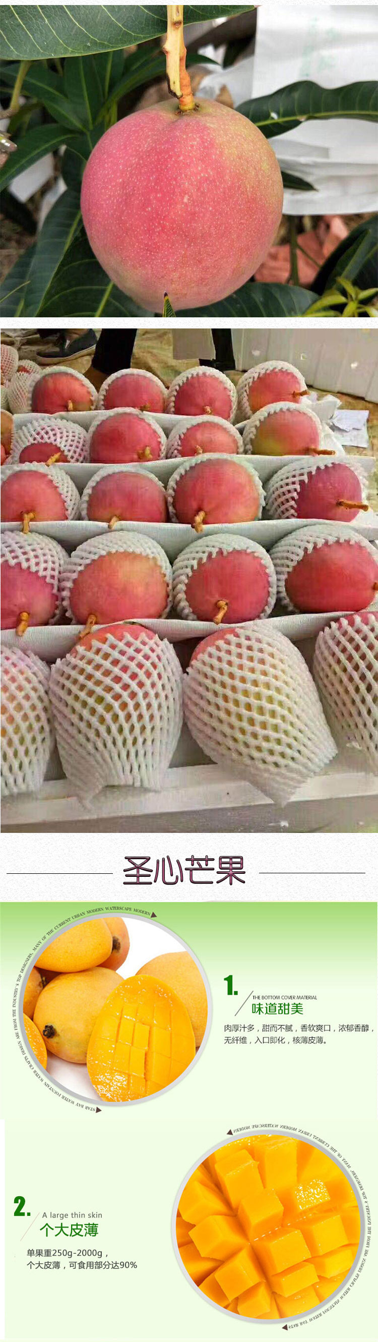 详情页_02.jpg