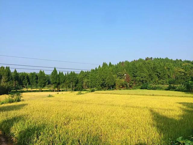 20180929135043_49092.jpg 微信图片_20180929125429.jpg
