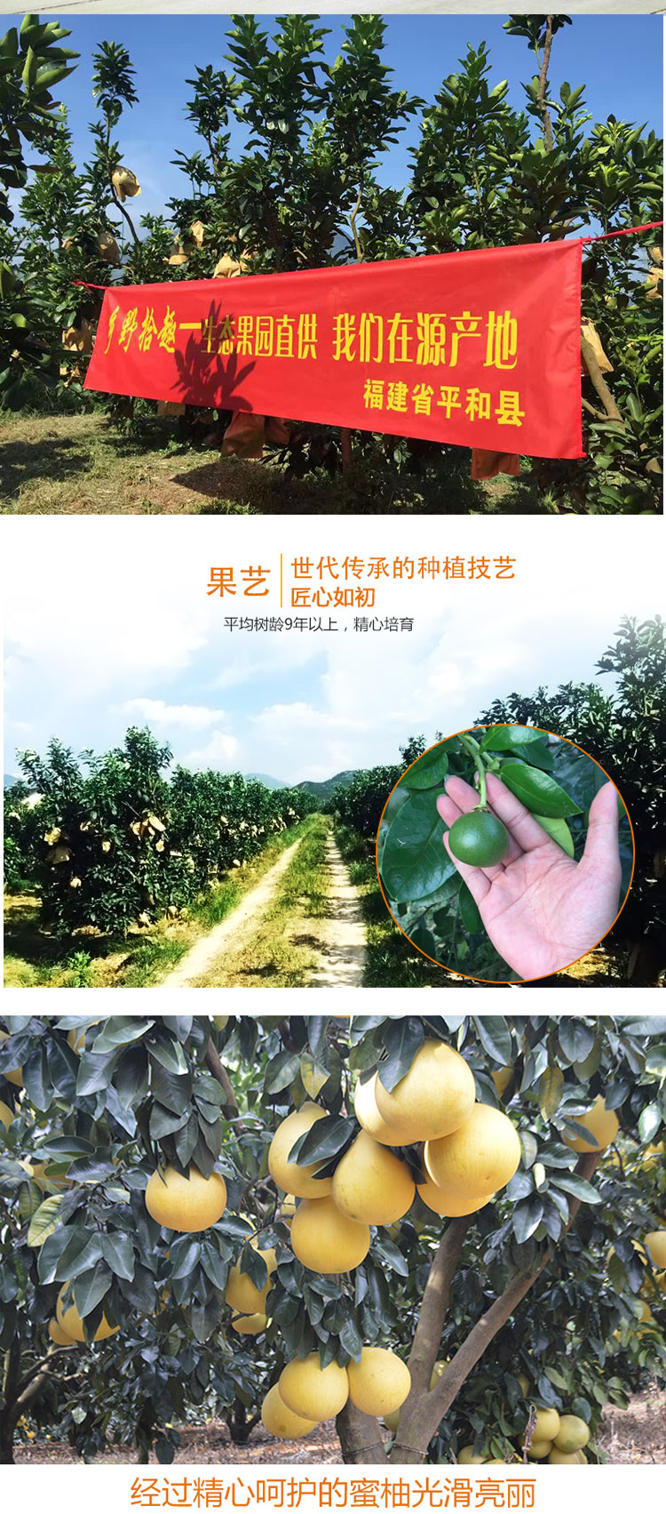 详情页_03.jpg