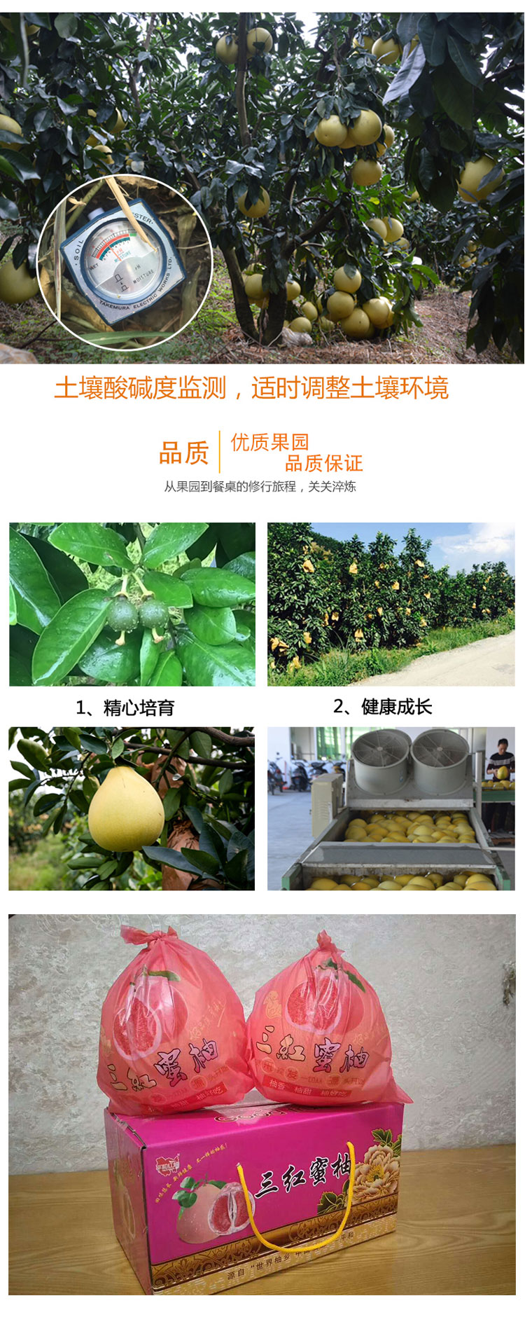 详情页_04.jpg