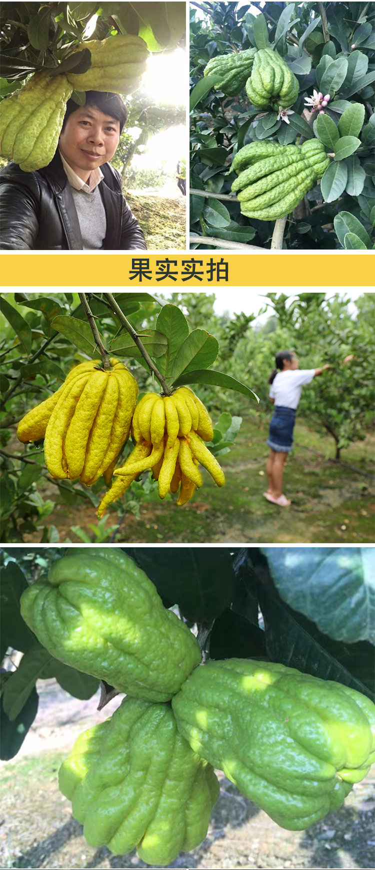 未标题-1_02.jpg