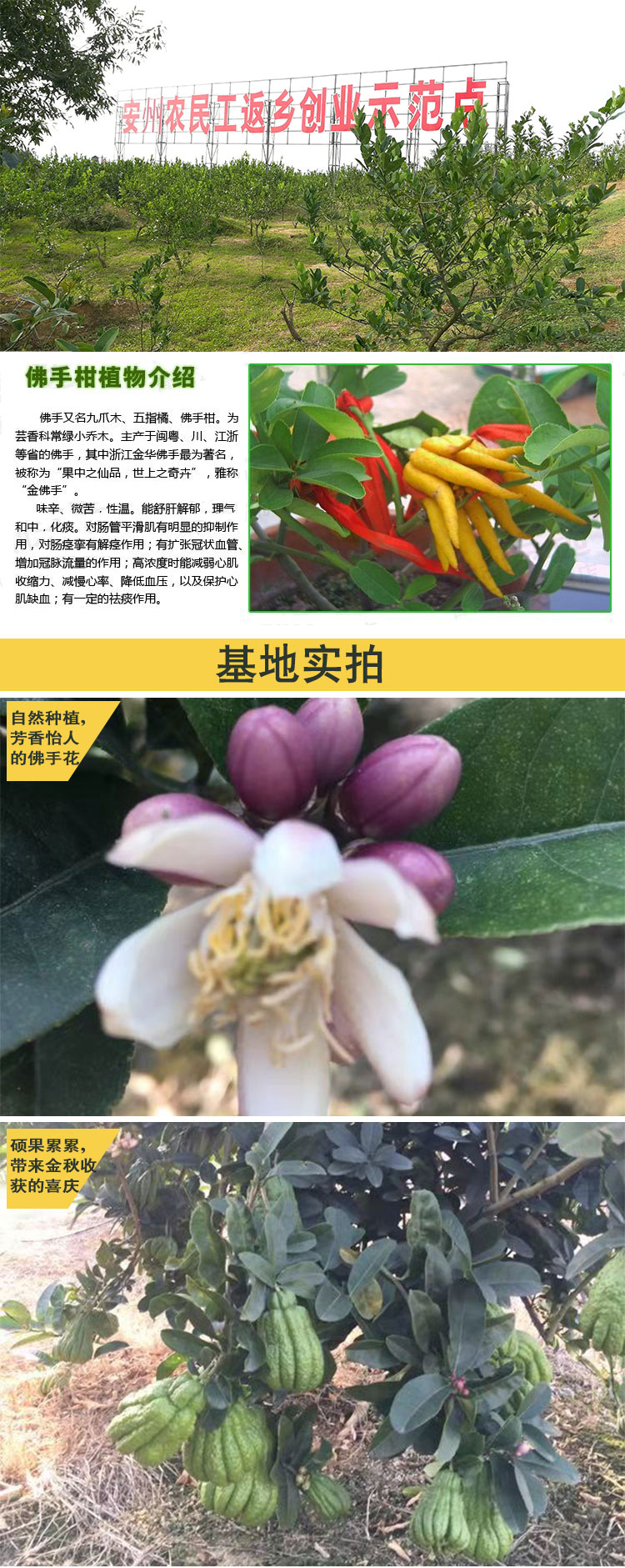 未标题-1_01.jpg