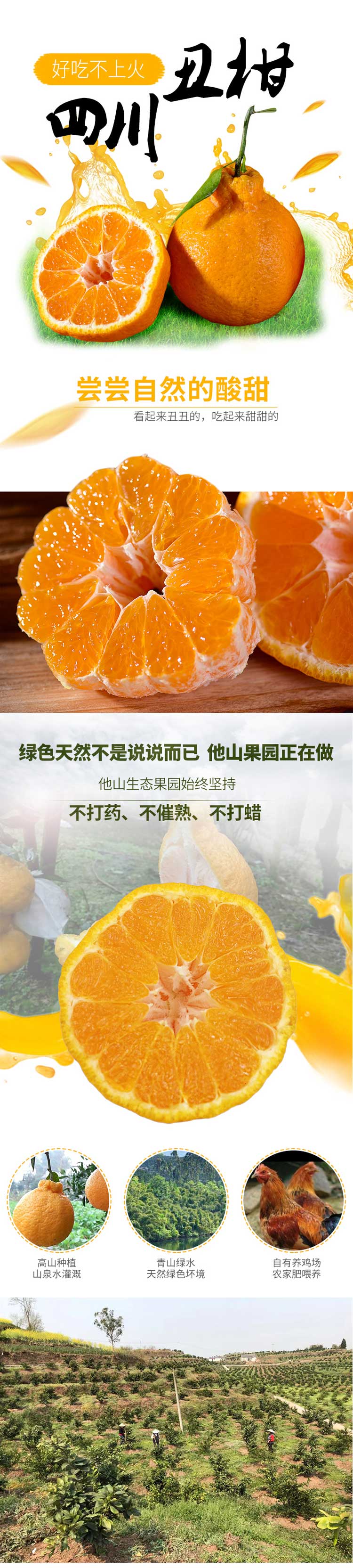 详情页_01.jpg