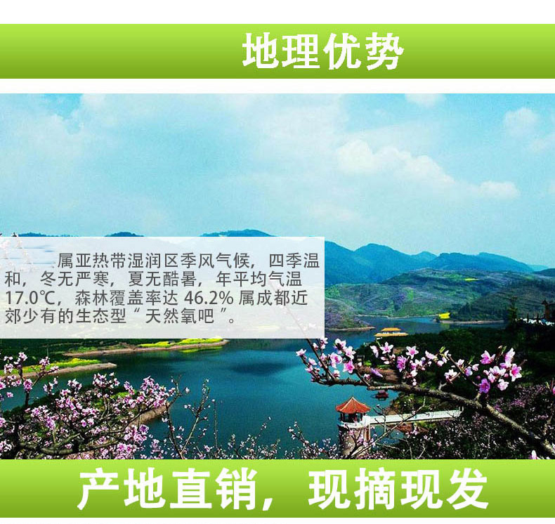 详情页_03.jpg