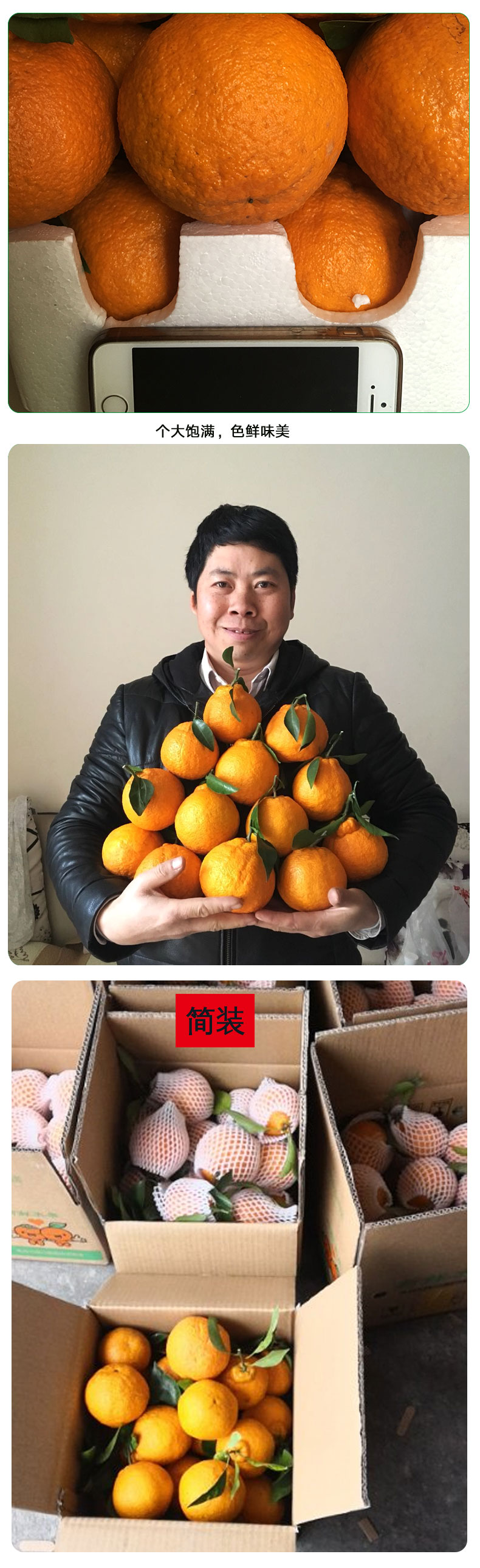 68元_02.jpg