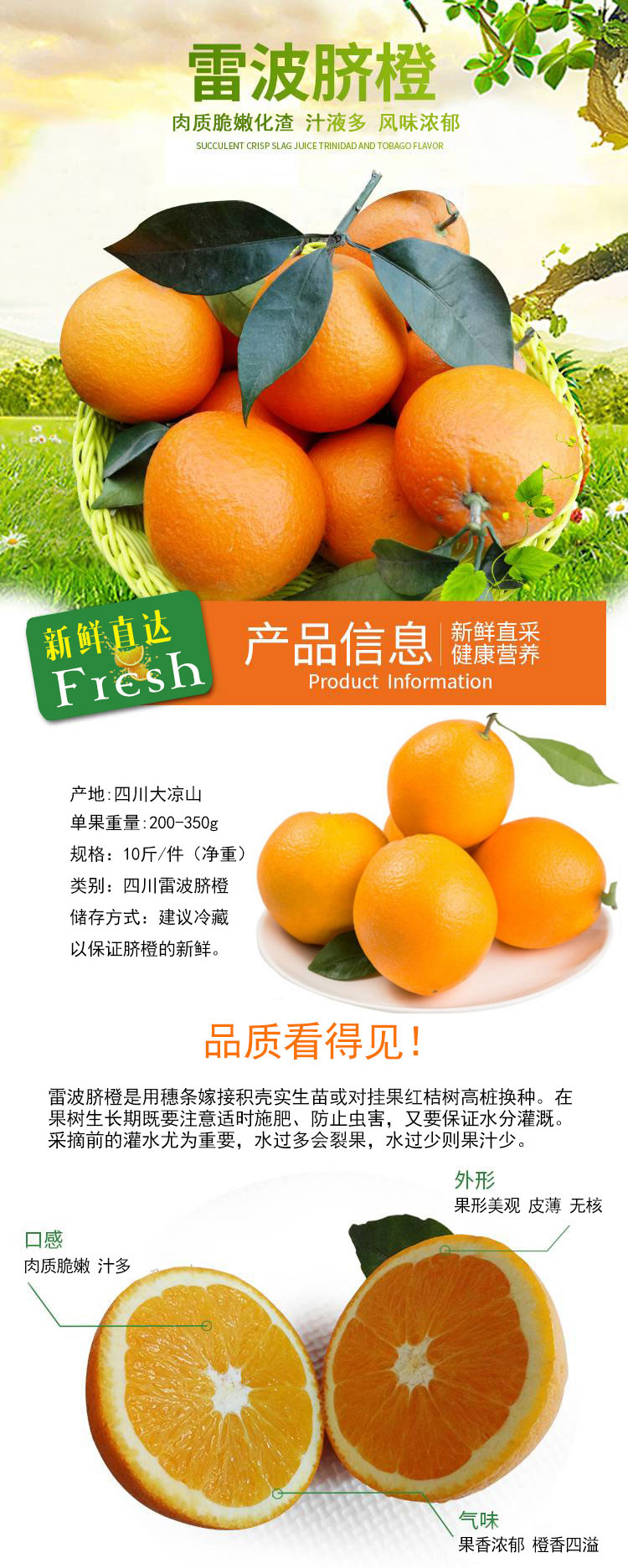 详情页_01.jpg