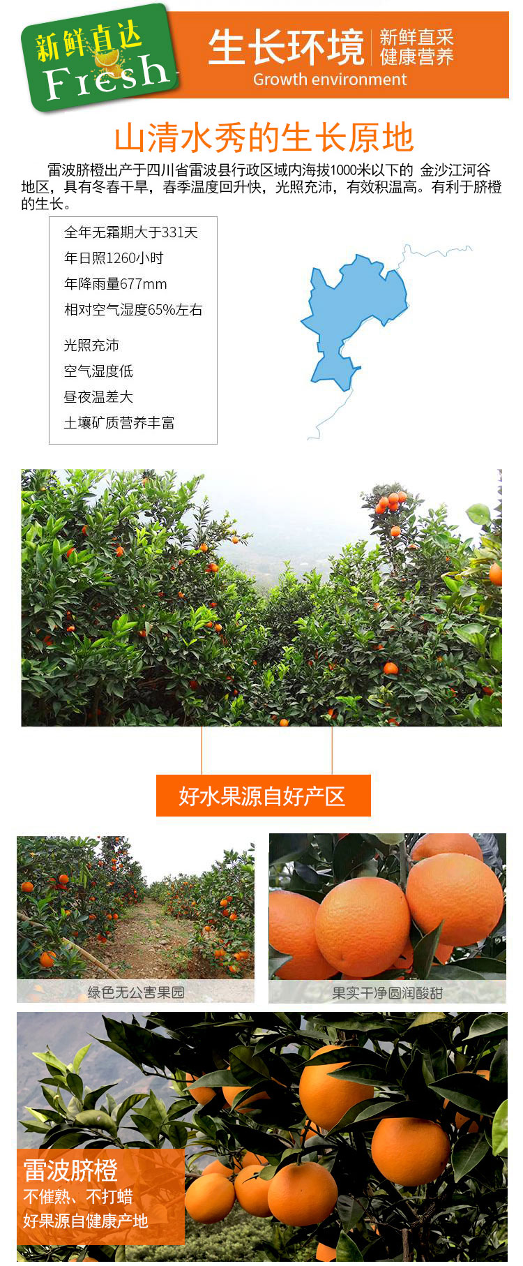 详情页_02.jpg