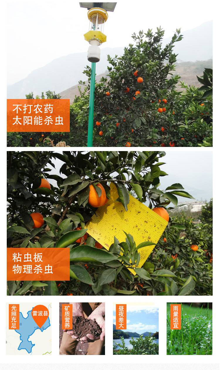 详情页_03.jpg