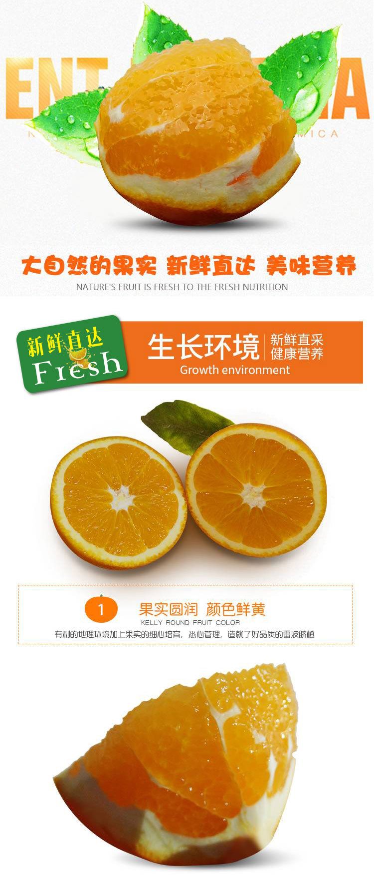 详情页_04.jpg