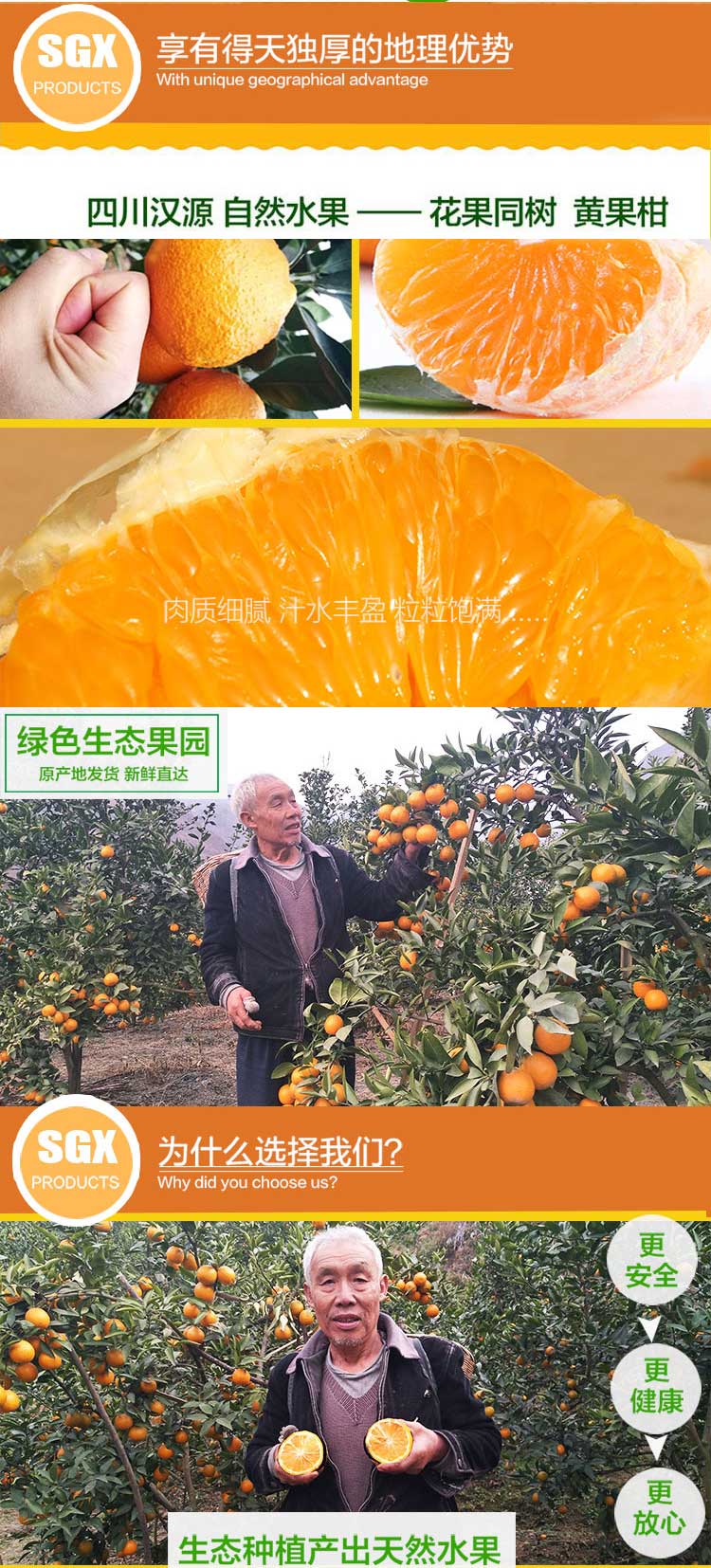 未标题-1_03.jpg