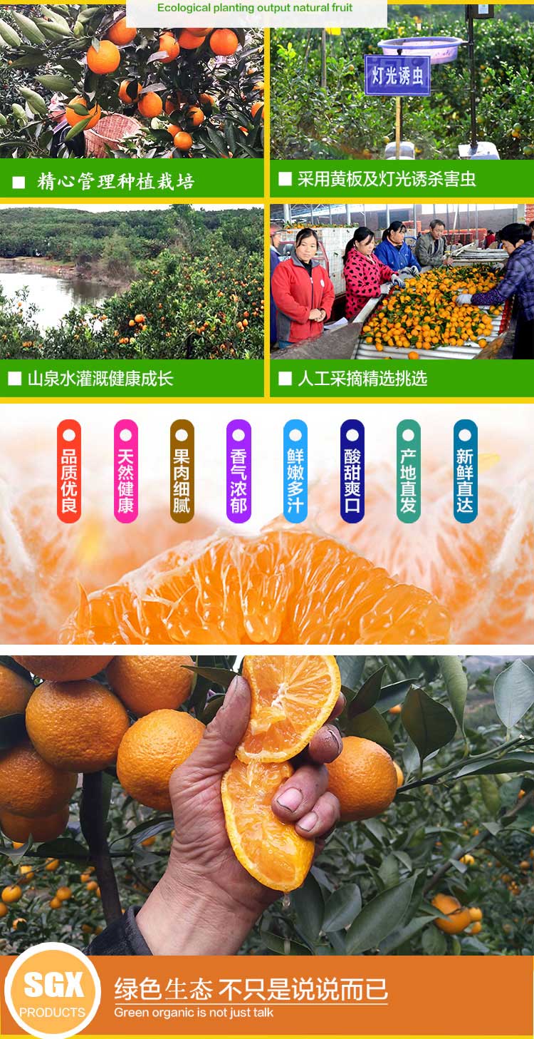 未标题-1_04.jpg