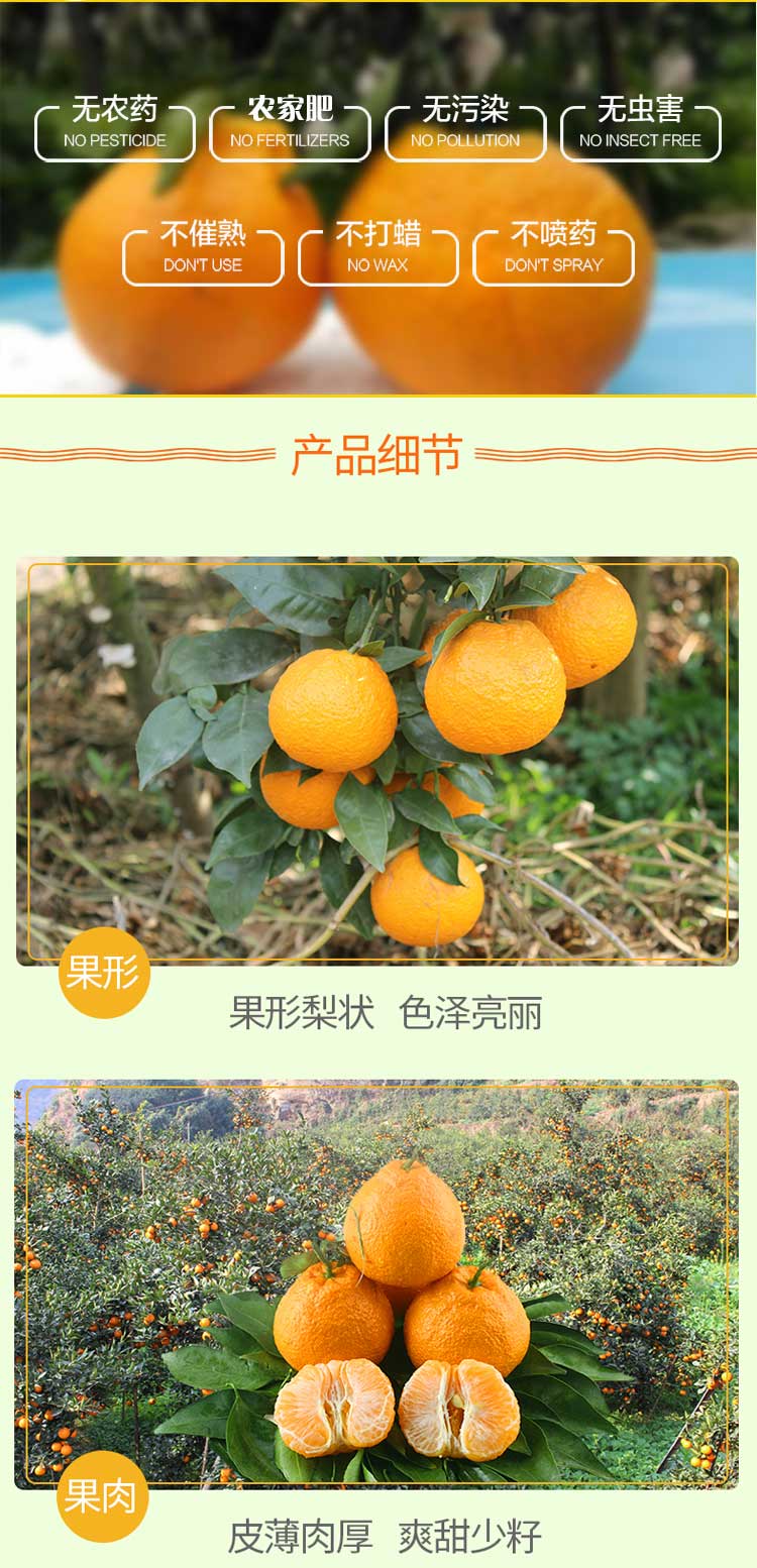 未标题-1_05.jpg