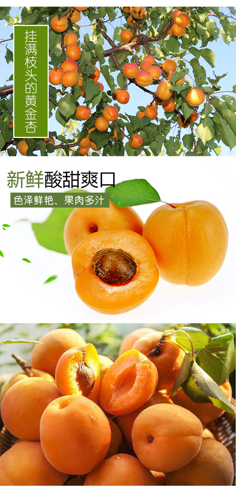 详情页_02.jpg