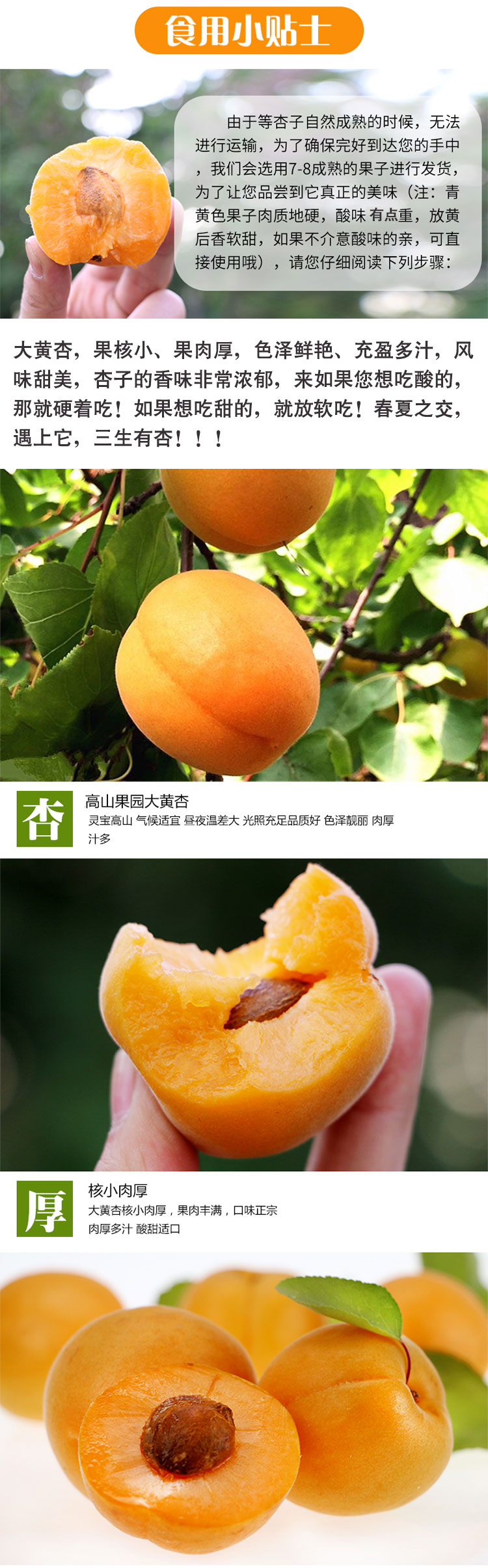 详情页_03.jpg