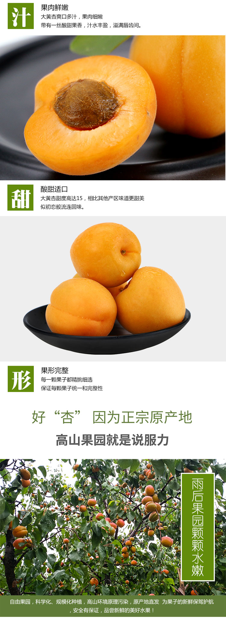 详情页_04.jpg