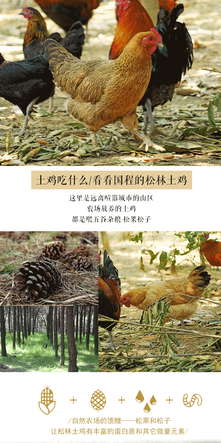 6.gif