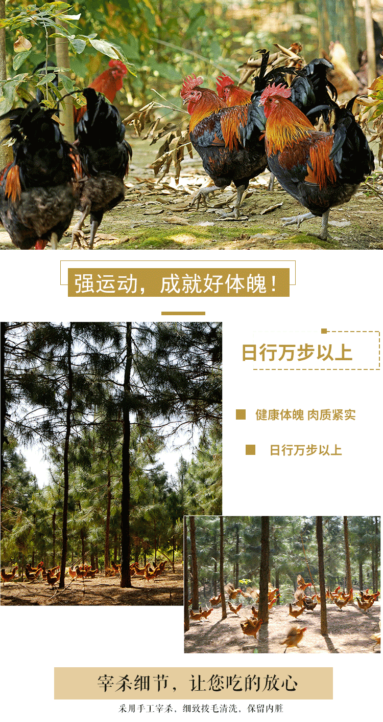 8.gif