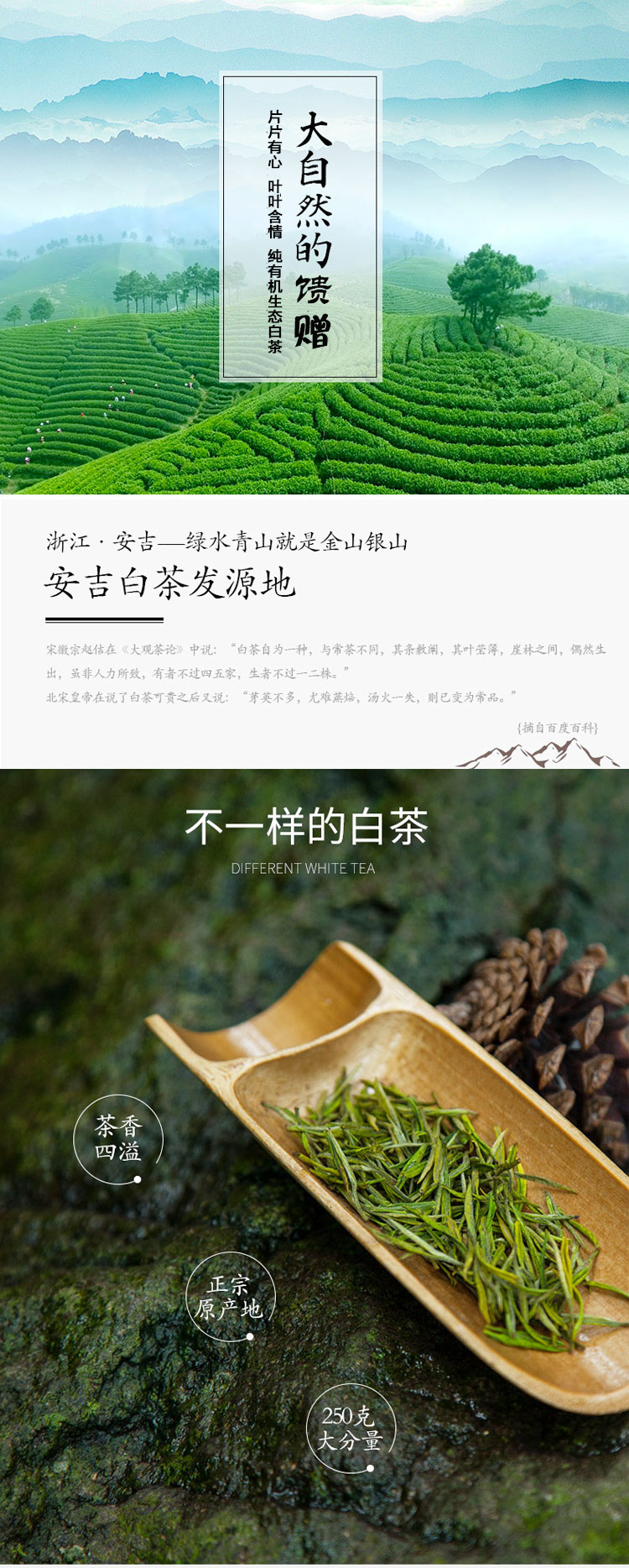 详情页_01.jpg