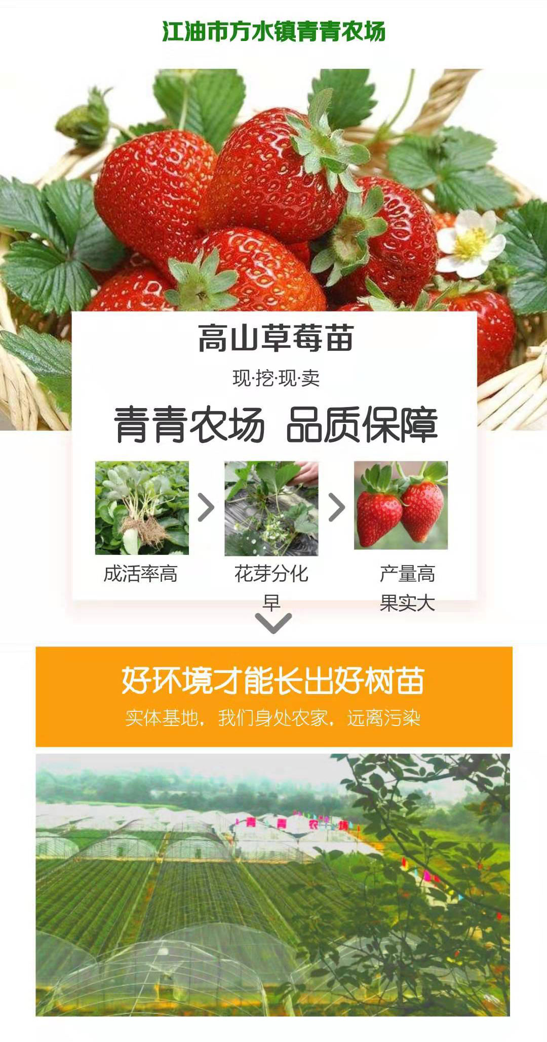 微信图片_20190716154050_01.jpg
