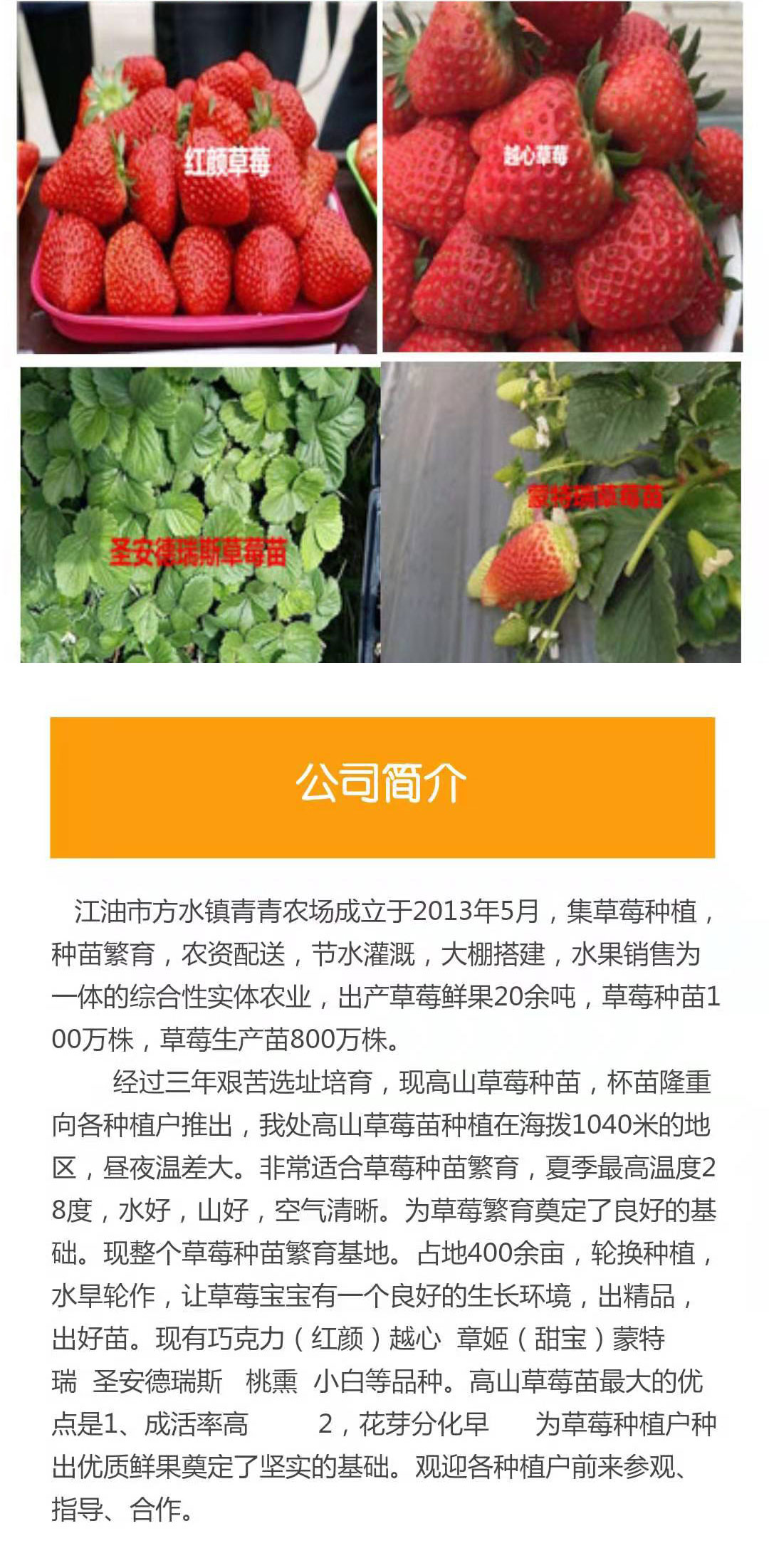 微信图片_20190716154050_03.jpg